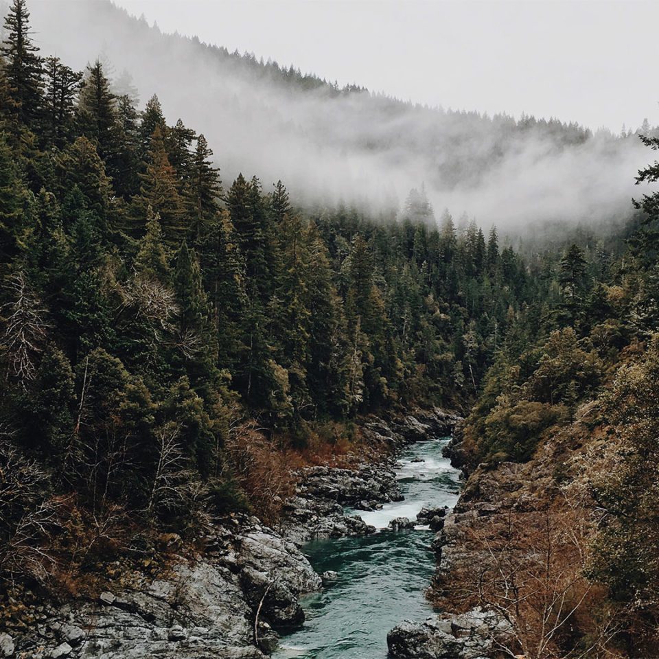 photo-1456428724429-eb66a4859779