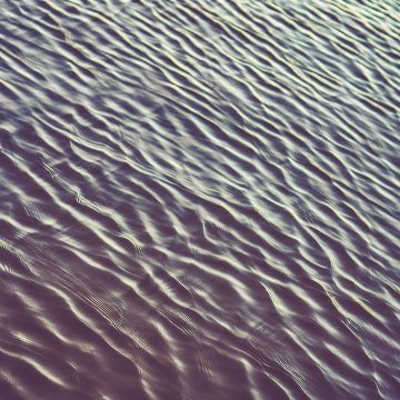 photo-1471712235365-95a5908e4036