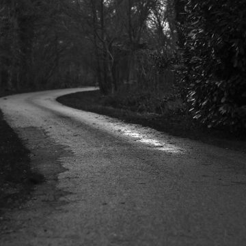 wkjFpgTwSPnxksbAxnkA_IMG_5192