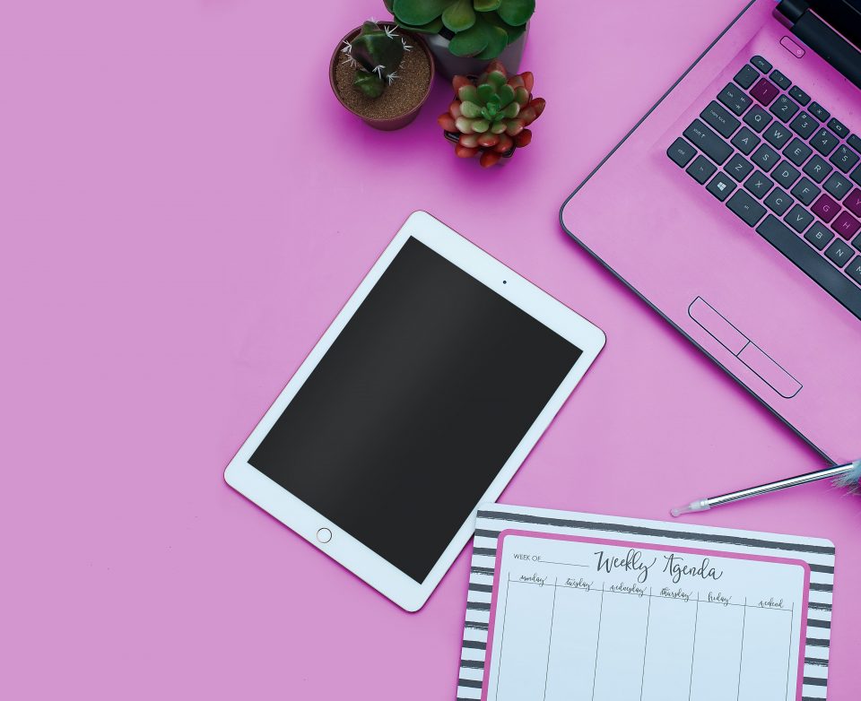 Landingpage, Unternehmenswebsite und Online-Shop - was ist der Unterschied? Online-Präsenzen, Arten von Websites, Typen von Websites, Neue Website