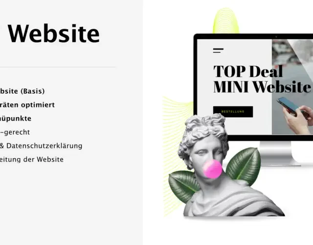 Mini Website, Landing Page, professionelle Website, Premium Website, Content-Management-System (CMS), Impressum, Datenschutzerklärung,