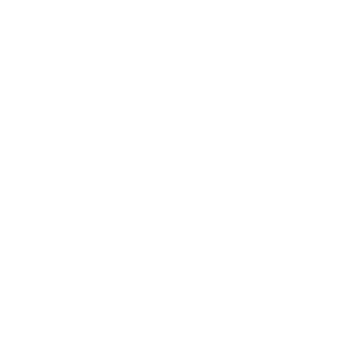 Brand Born Website SEO SMM Digital Marketing