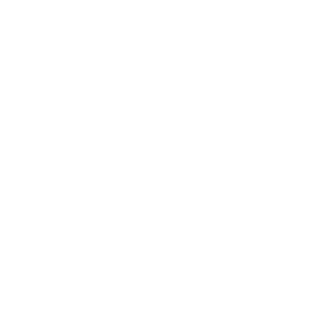 Brand Born Website SEO SMM Digital Marketing