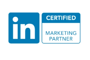 Linkedin - Brand Born Website SEO SMM Digital Marketing